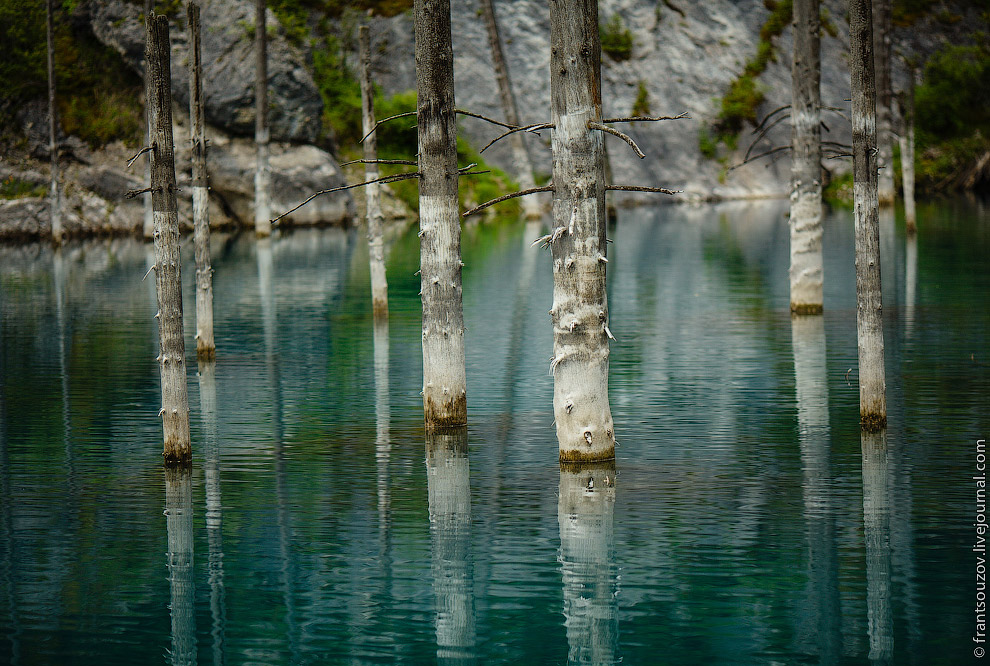 Озеро Каинды: утонувший лес