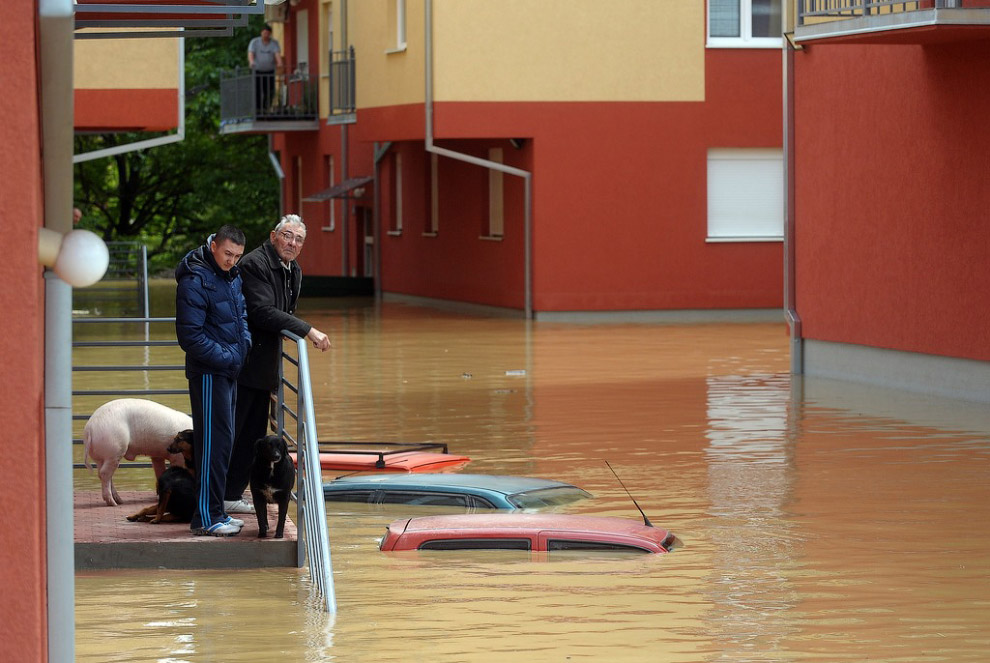 Наводнение в Сербии