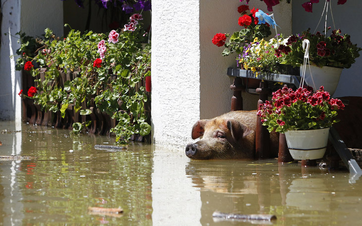 Крупнейшее наводнение на Балканах за 120 лет