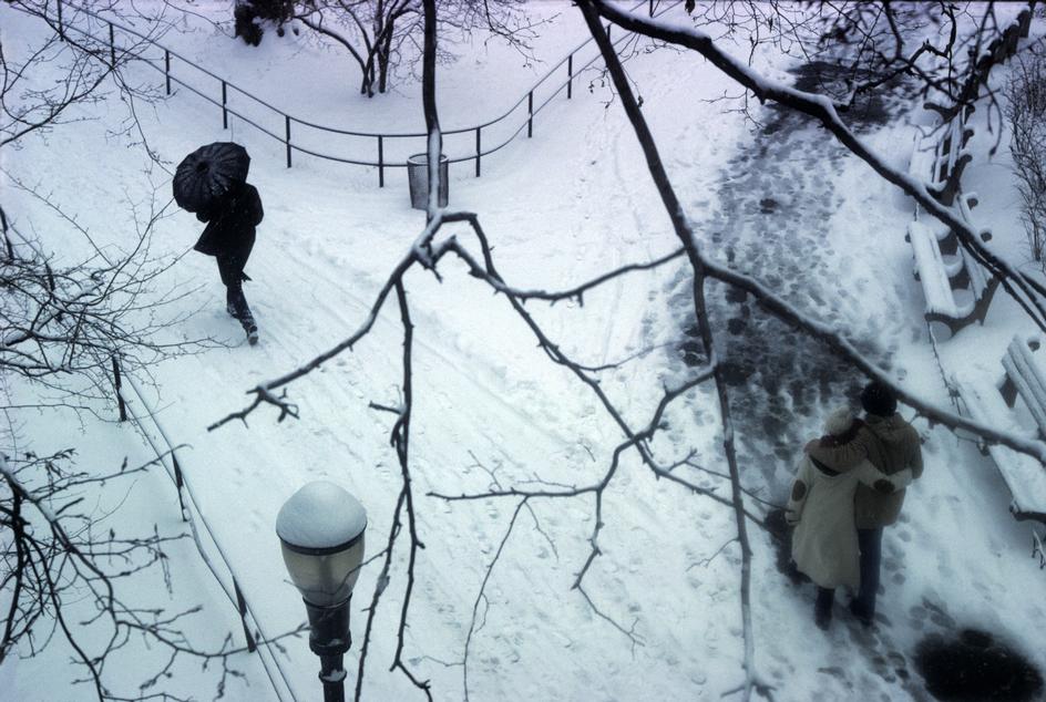 Центральный парк зимой