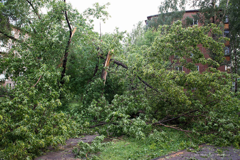 Ураган в Новосибирске