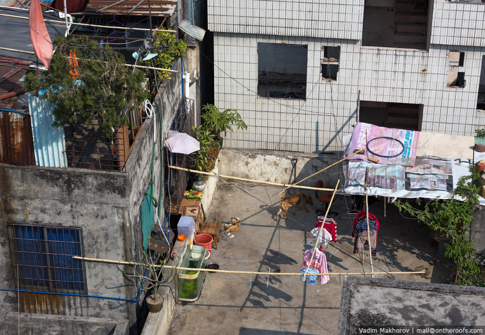 Крыши и трущобы Гуанчжоу