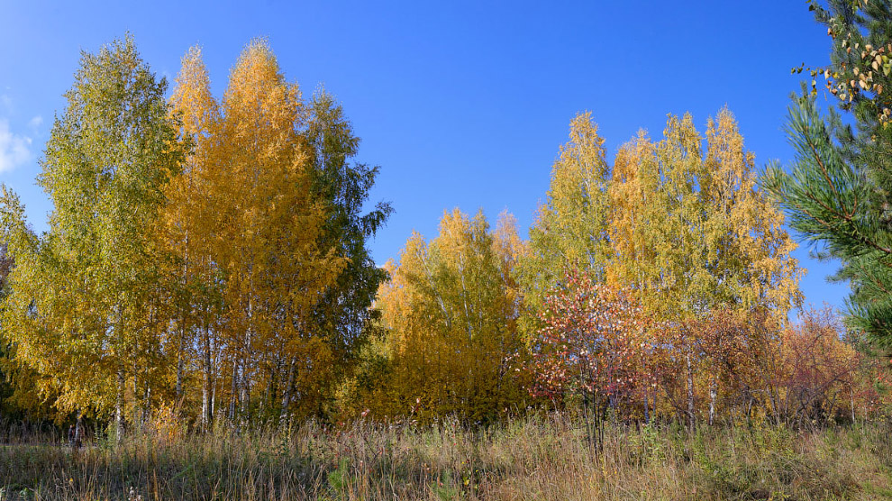 Осень на берегу реки Томь