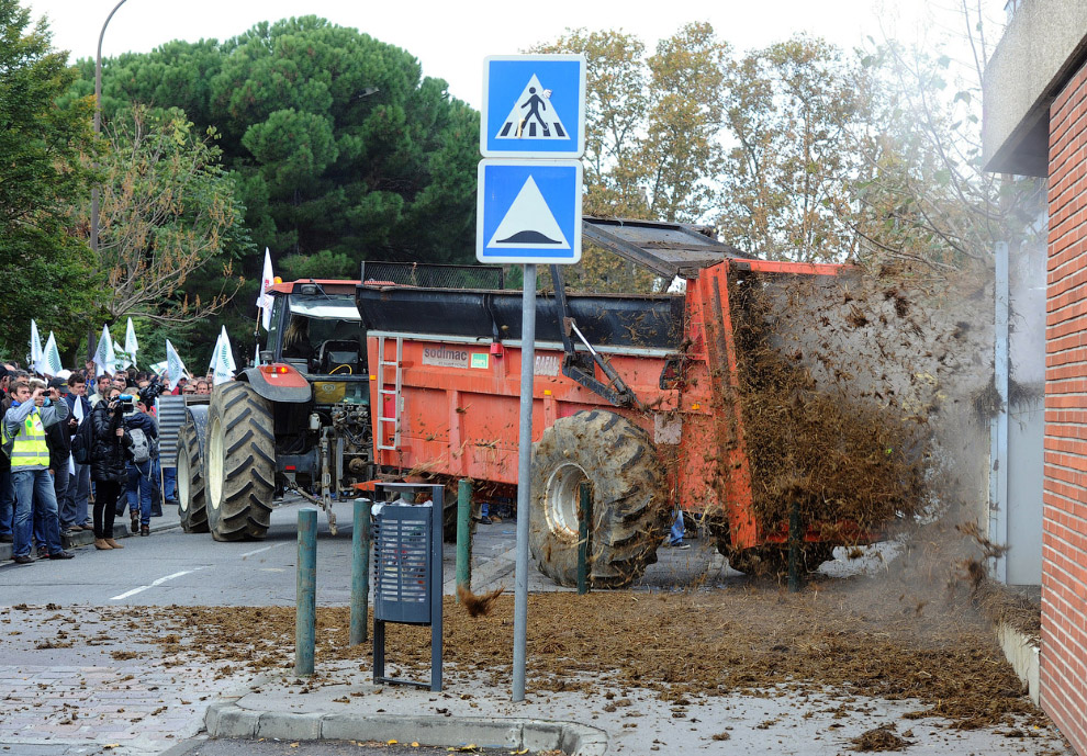 Наиболее креативный ход во время бунта фермеров во Франции — с помощью 30 тракторов они завалили навозом здание департамента сельского хозяйства, а также местной мэрии