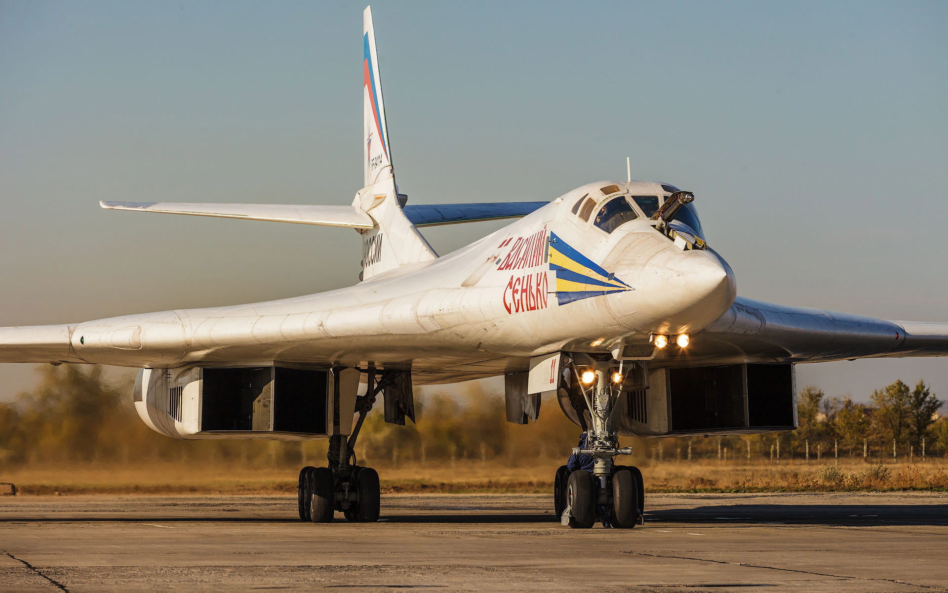 Самолет бомбардировщик россии. Бомбардировщик ту-160. Ту-160 белый лебедь. Стратегический бомбардировщик ту-160 белый лебедь. Белый лебедь бомбардировщик ту-160м2.