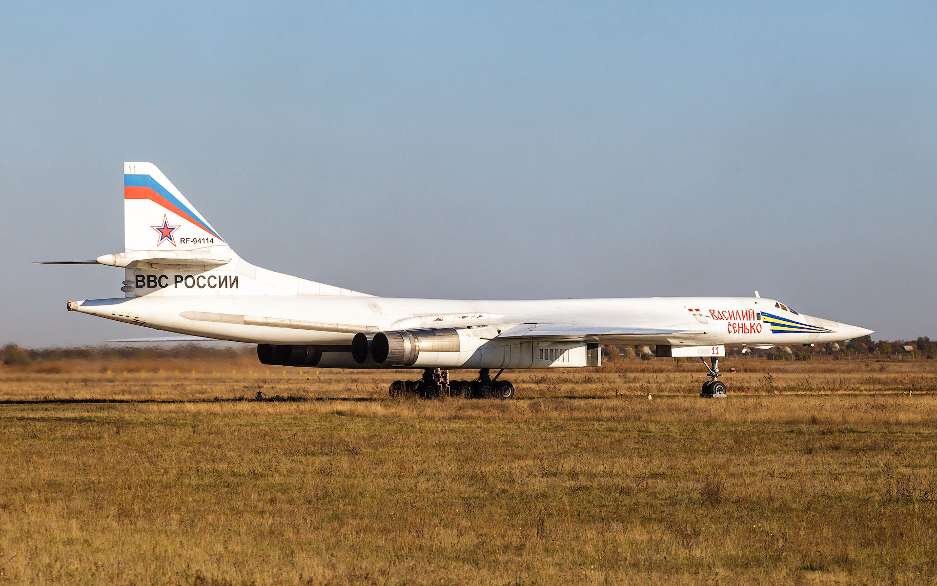 Ту 160м сколько. Ту-160 белый лебедь. Бомбардировщик ту-160. Ту-160 сверхзвуковой самолёт. Бомбардировщик ту-160 Энгельс.