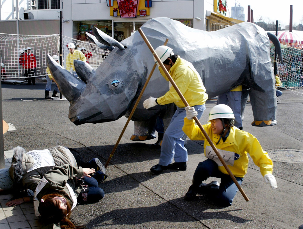 «Побег носорога» в зоопарке в Токио
