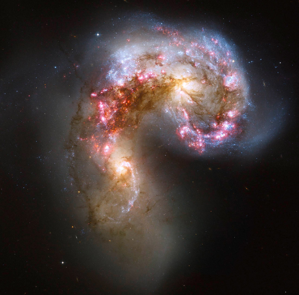 Галактика NGC 4039 в созвездии Ворон