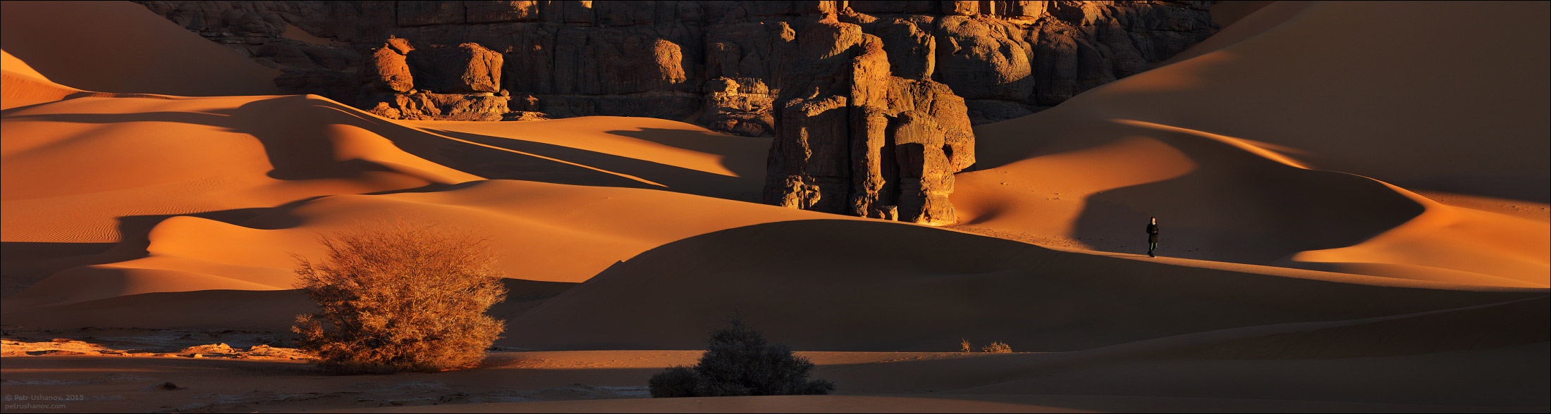 Самые большие 10 пустыни в мире. Пустыня сахара панорама. Desert History.