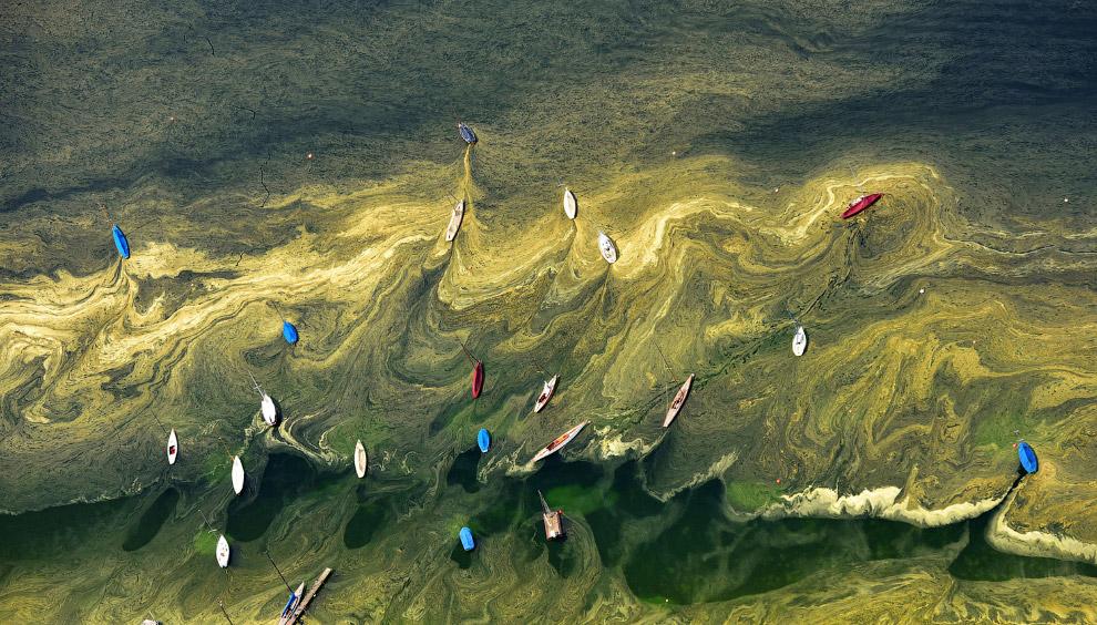 Яхты на озере Штарнберг, покрытым пыльцой, Германия