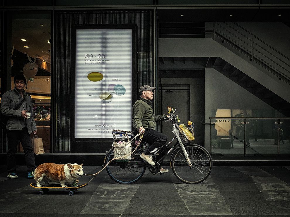 Человек с собакой на доске в Тайбэе