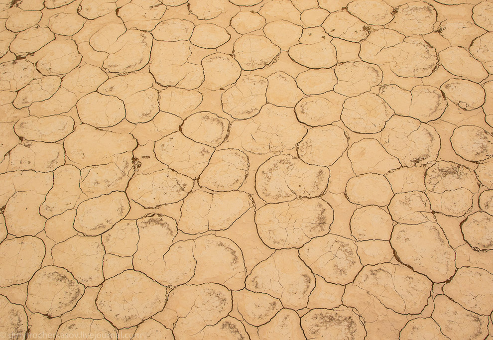 Намибия. Мёртвое болото