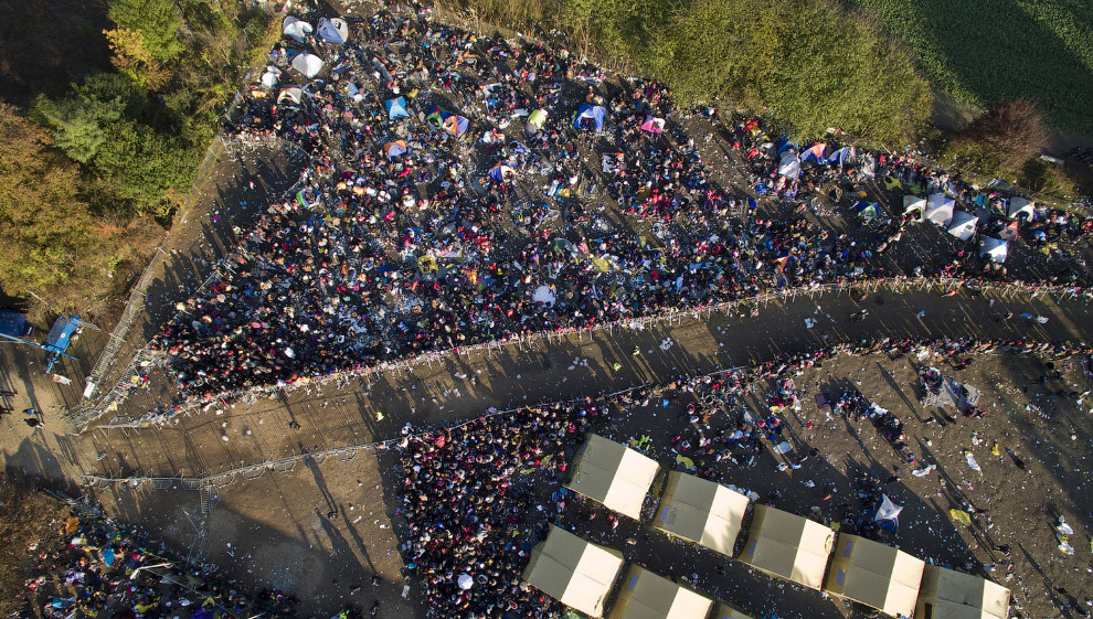 Мигранты стройною толпой