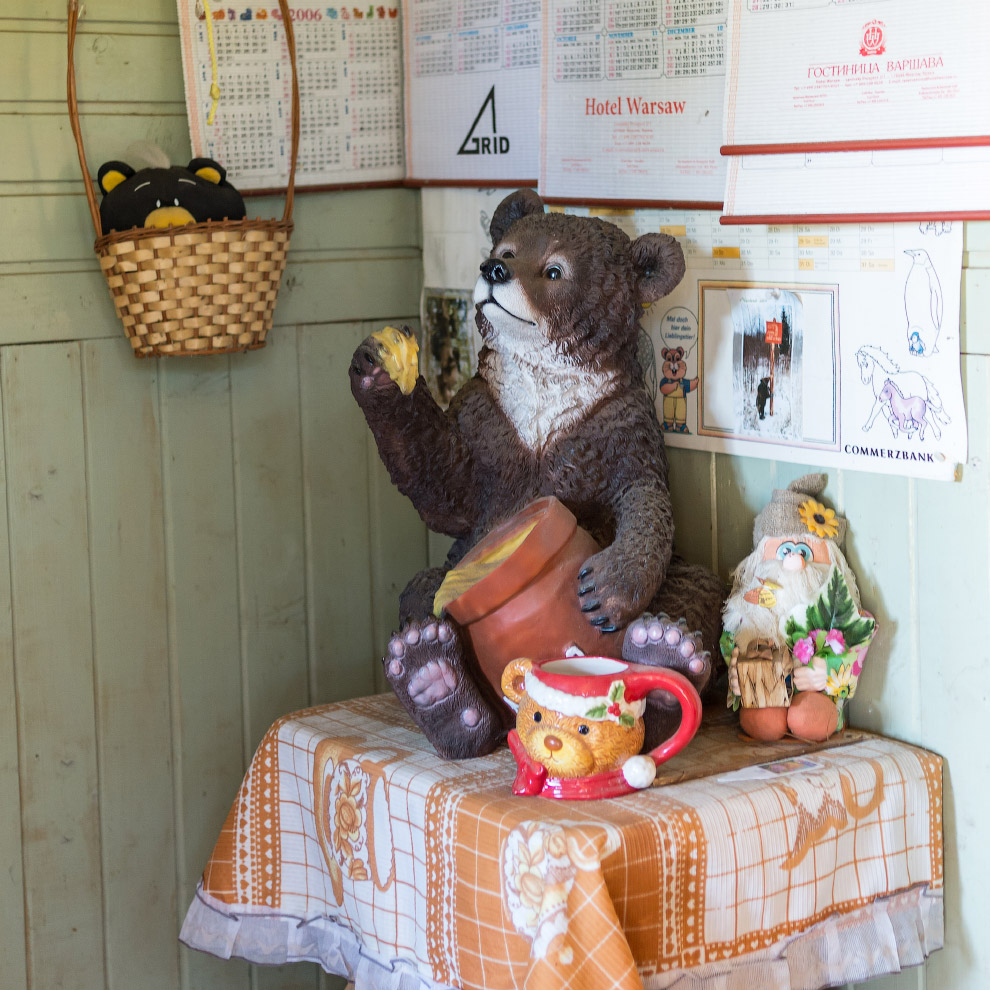 Центр спасения медведей в Тверской области