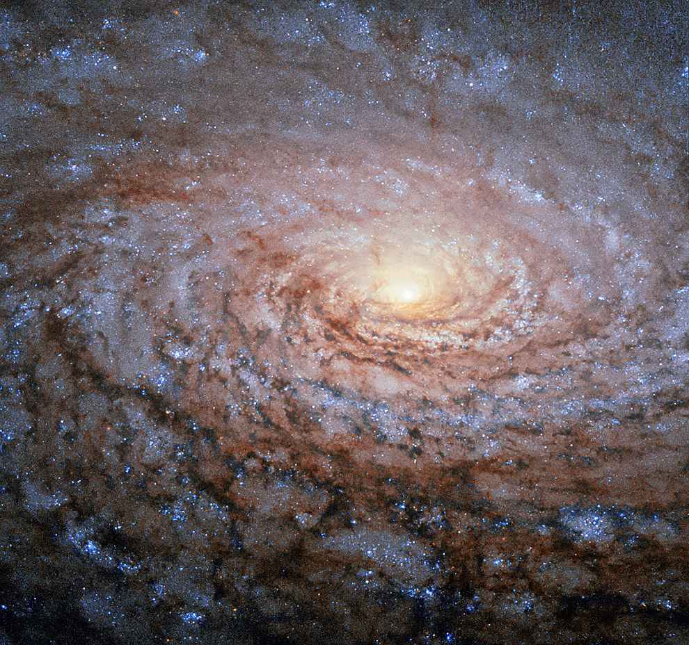 Галактика Подсолнух М 63 в созвездии Гончие Псы