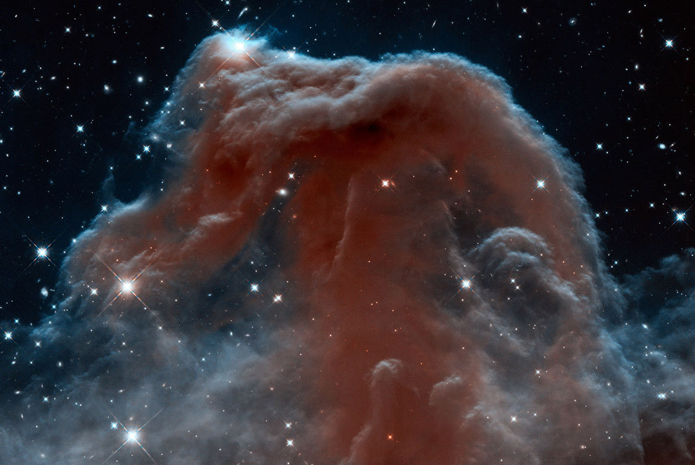 Туманность Конская Голова в созвездии Ориона
