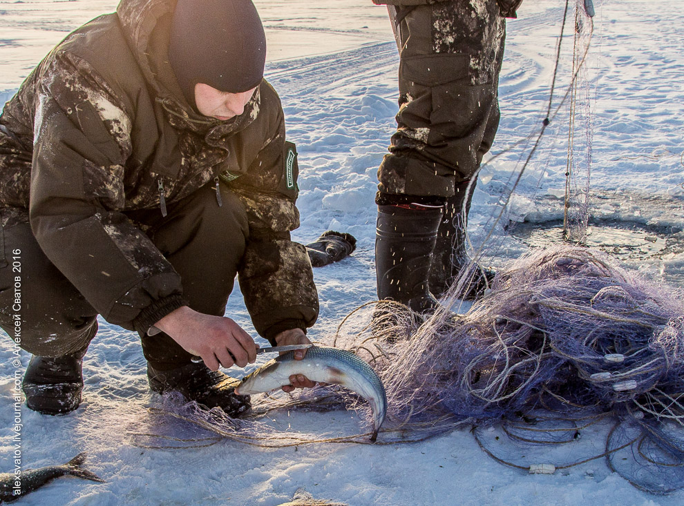 Борьба с браконьерами на Байкале