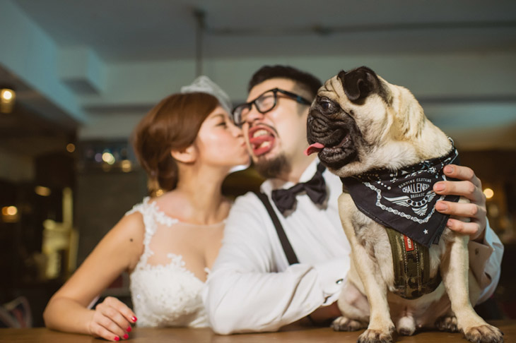 Самые забавные свадебные фотографии 2015