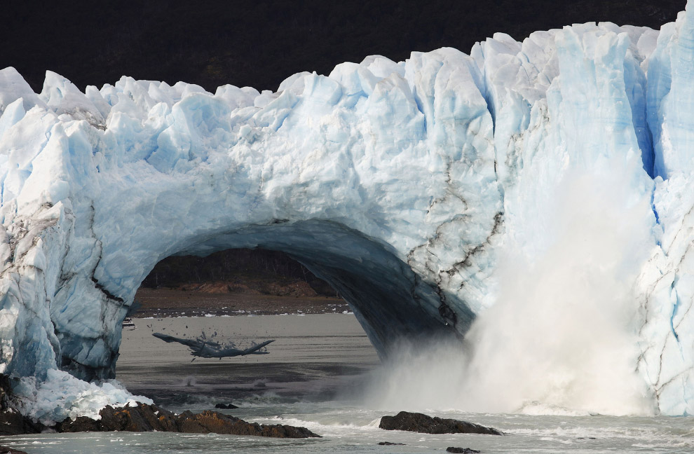 Ледник Перито-Морено имеет площадь 250 кв.км и является одним из 48 ледников