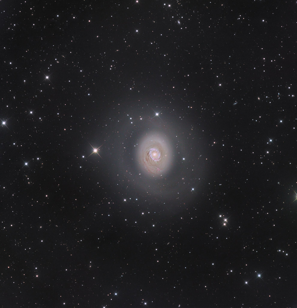 Спиральная галактика М94