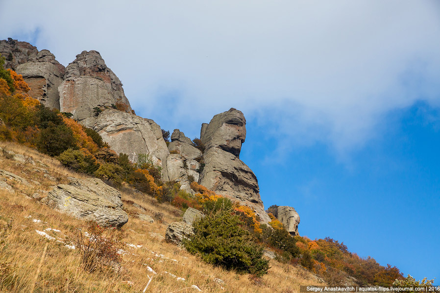 Голова екатерины на демерджи фото