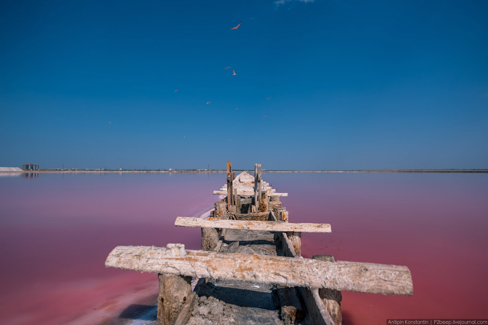 Сасык-Сиваш — крупнейшее озеро Крыма