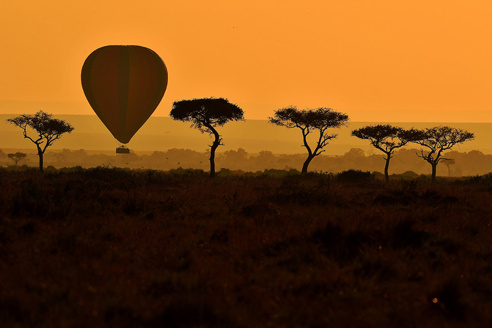 Воздушный шар в заповеднике Масаи Мара