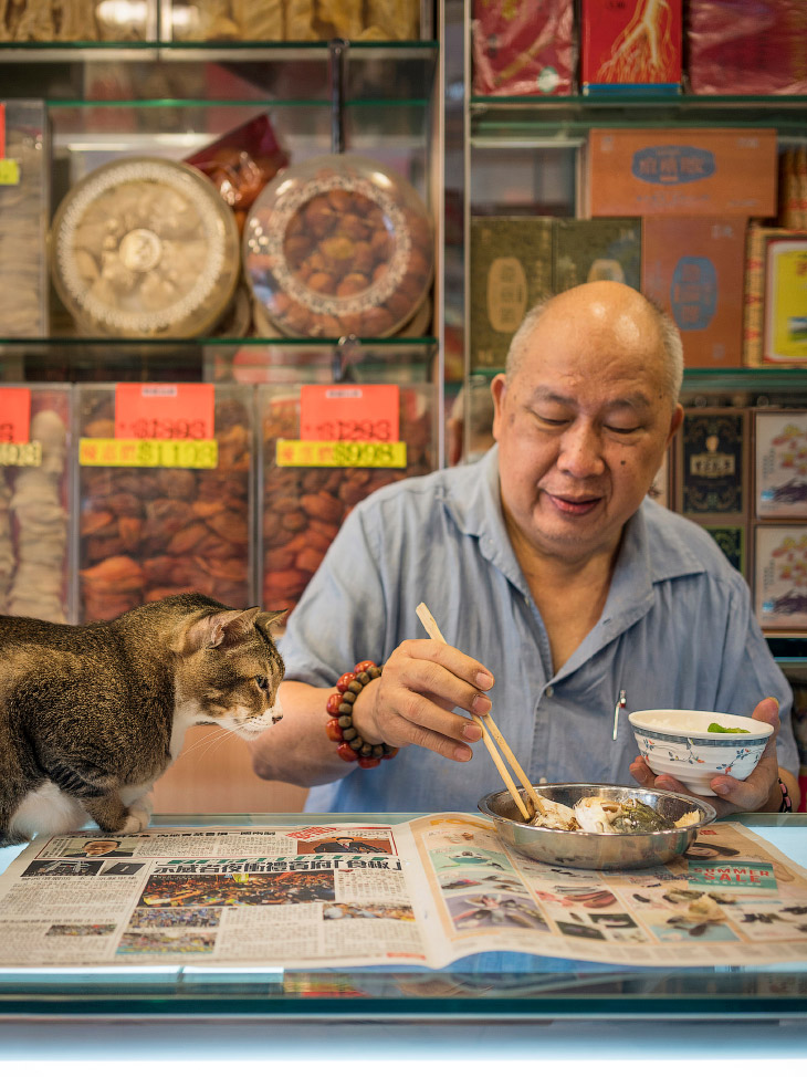 Тайная жизнь домашних животных в магазинах Гонконга
