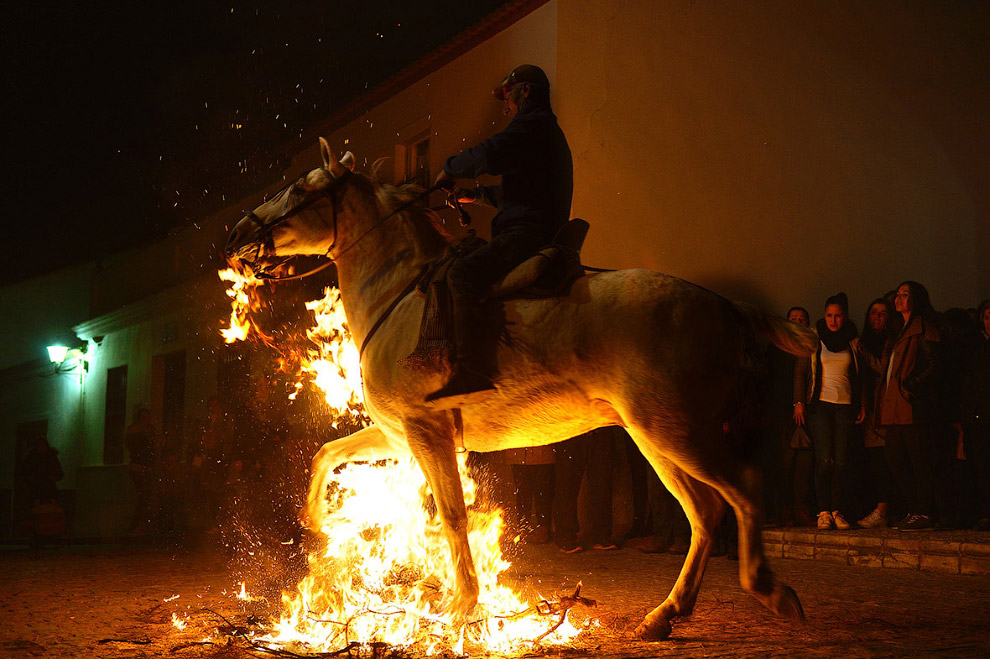 Огонь и лошади: День святого Антонио 2017