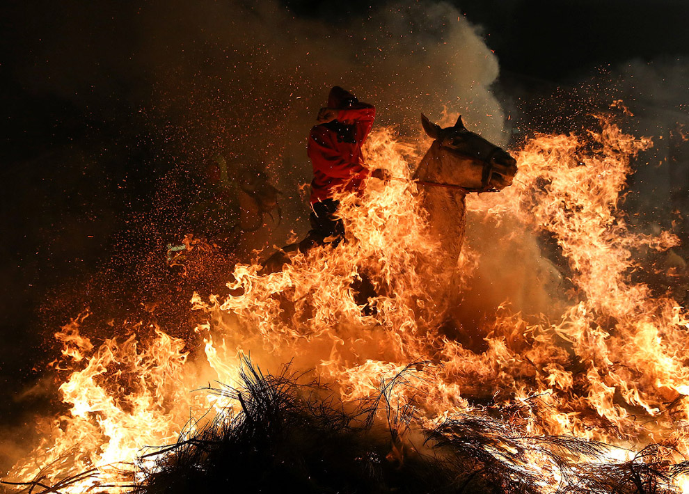 Огонь и лошади: День святого Антонио 2017