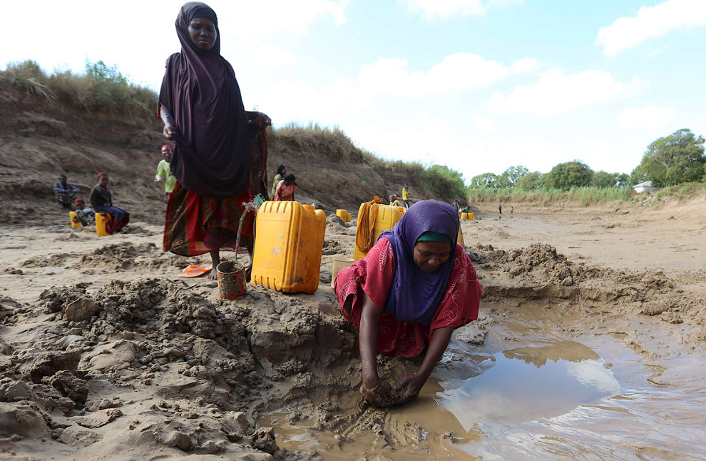 Сбор воды из лужи в Сомали