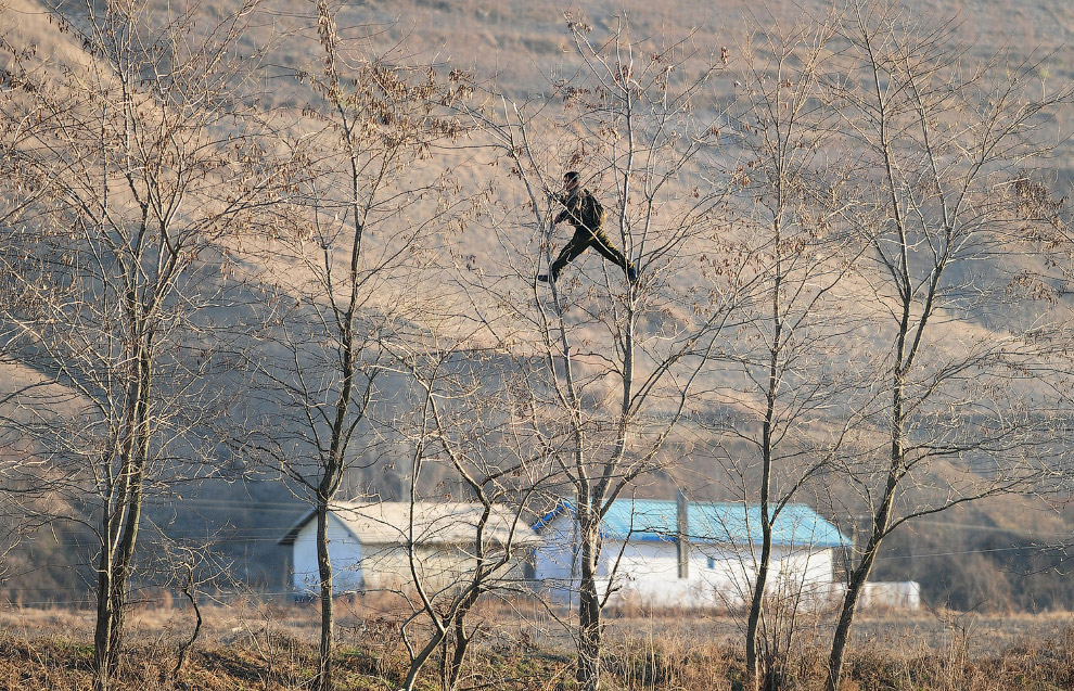 Северный корейский солдат лазит по деревьям  на границе с Китаем