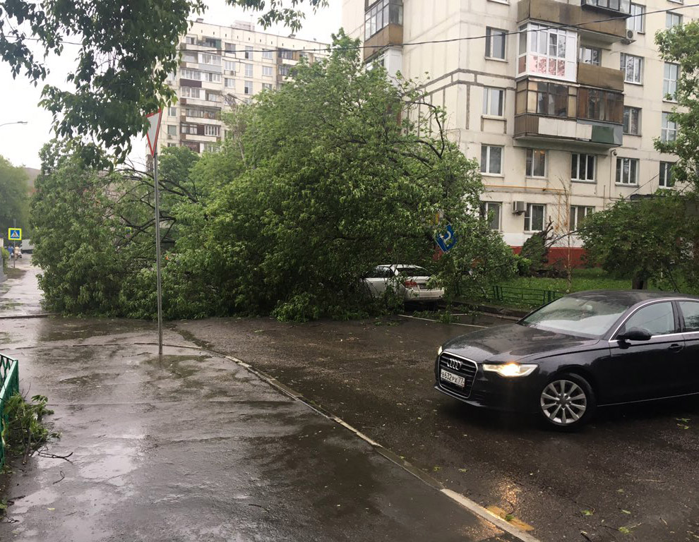 Ураган в Москве 2017