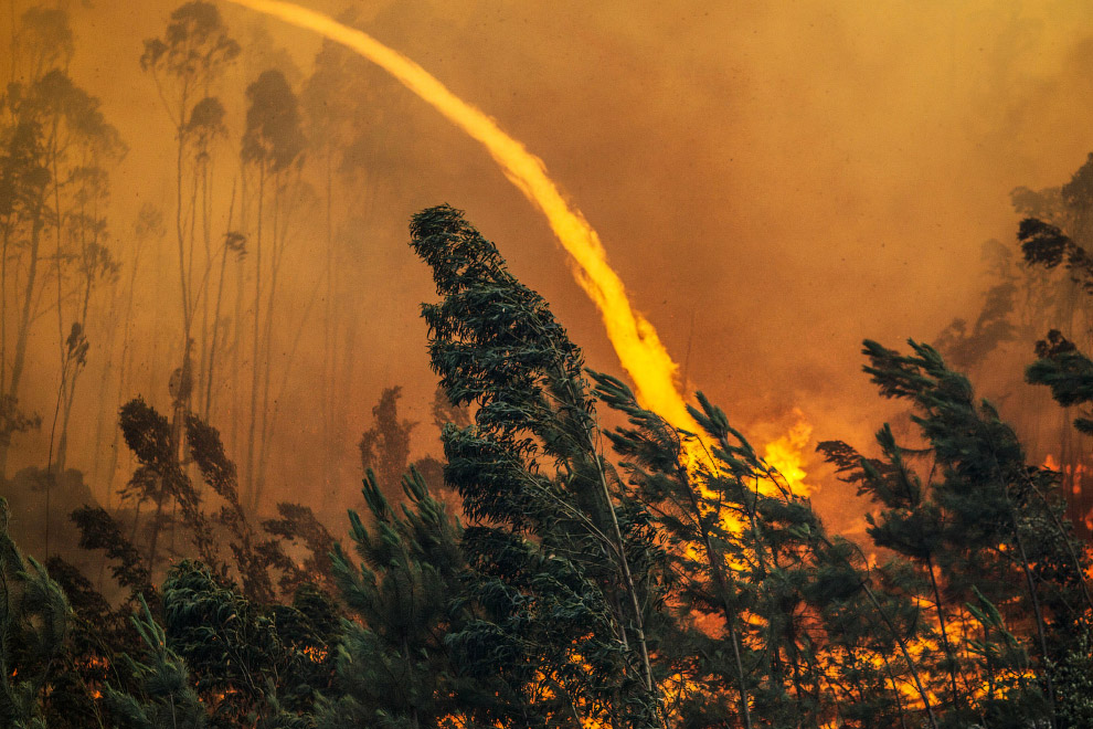 PORTUGAL FOREST FIRES
