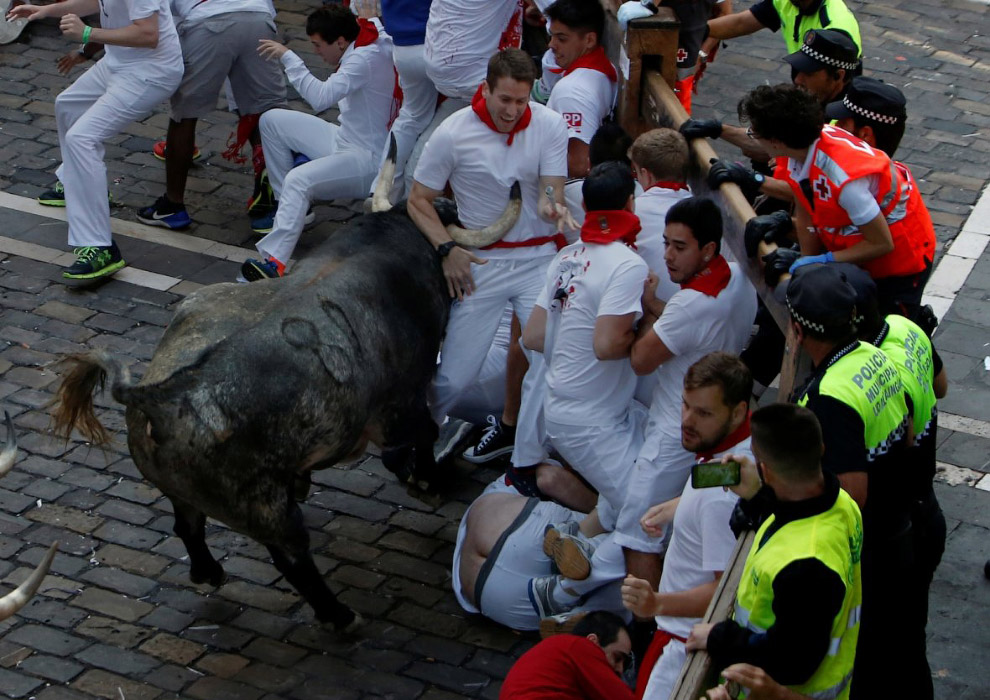 Бега быков в испанской Памплоне
