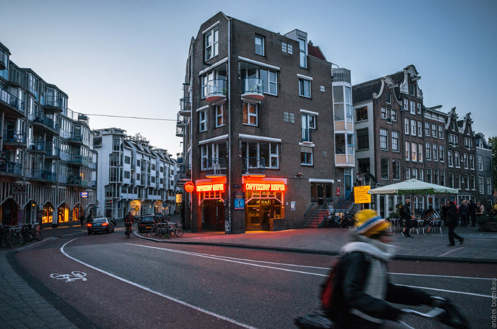 Adult rides a bicycle in historical part of Amsterdam against the coffeeshop with legal drugs in evening.