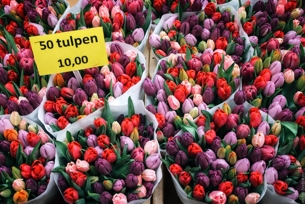 Tulips freshly picked for sale at flower market in Amsterdam, The Netherlands