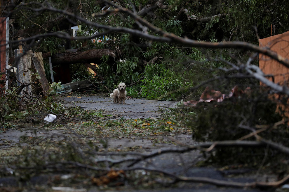 «Страна полностью разрушена»: ураган Ирма
