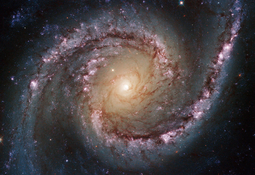 Спиральная галактика NGC 1566