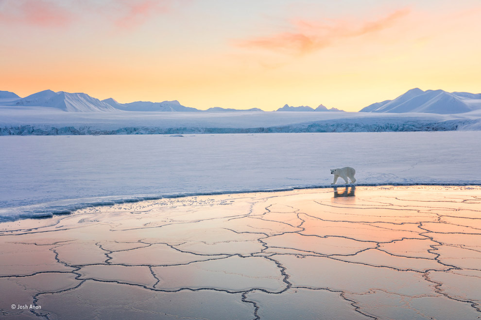 Земля снега и льда. Арктика прекрасна круглый год