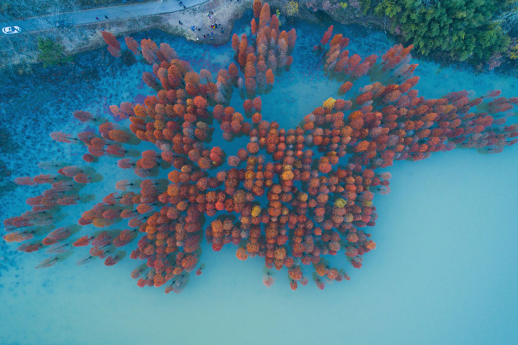 Осень на озере в Нанкине, Китай