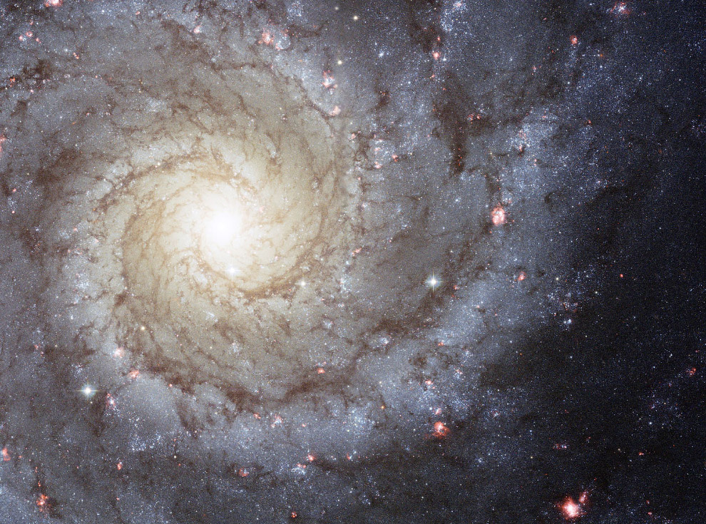 Спиральная галактика M 74