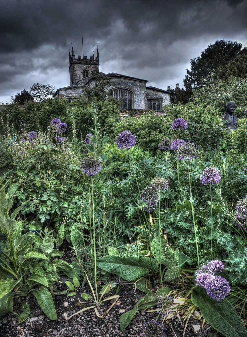 Растительность в Алчестере, Англия