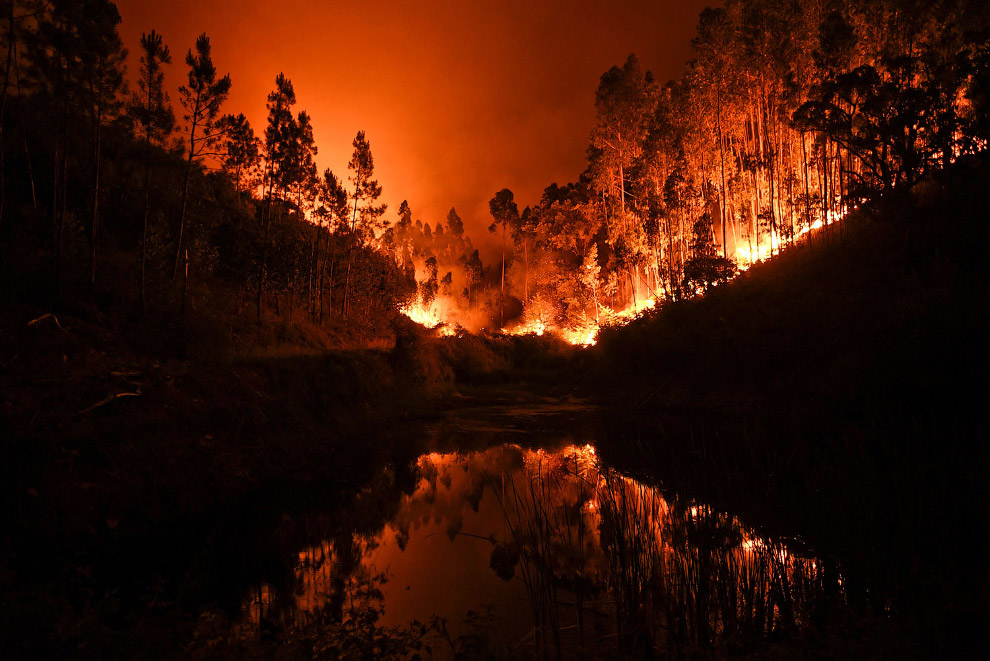 Пожар в Португалии