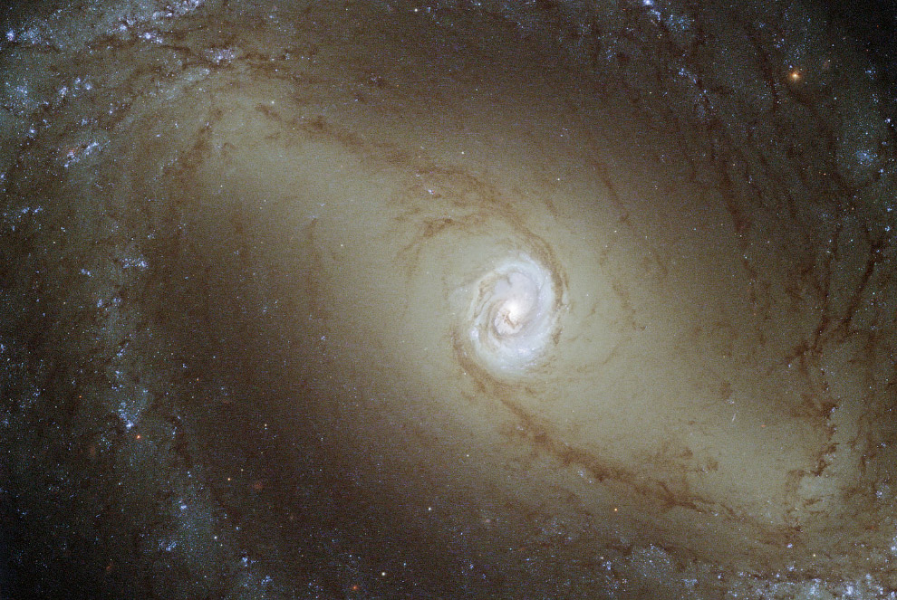 Спиральная галактика NGC 1433