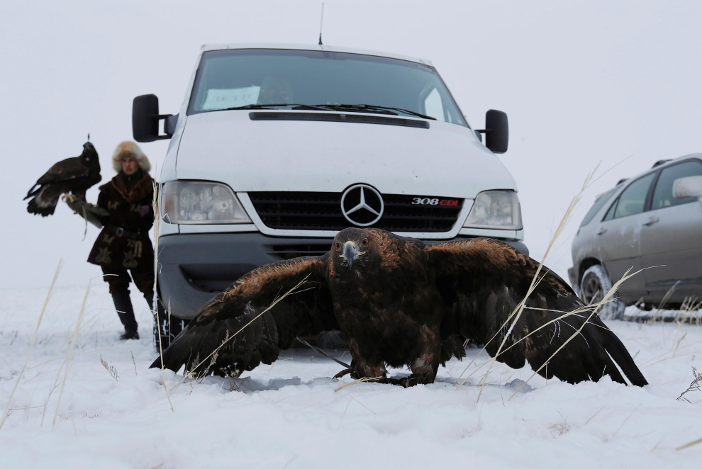 Орлиная охота в Казахстане