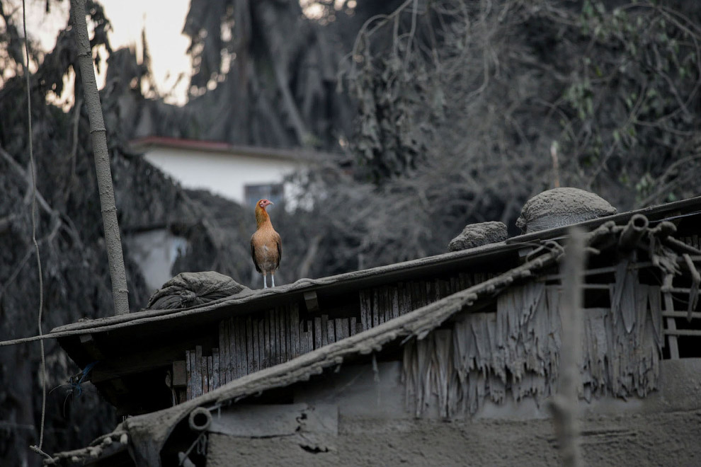 Черно-белый мир после извержения вулкана Тааль на Филиппинах