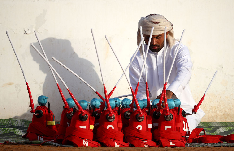 Роботы-жокеи в Объединенных Арабских Эмиратах