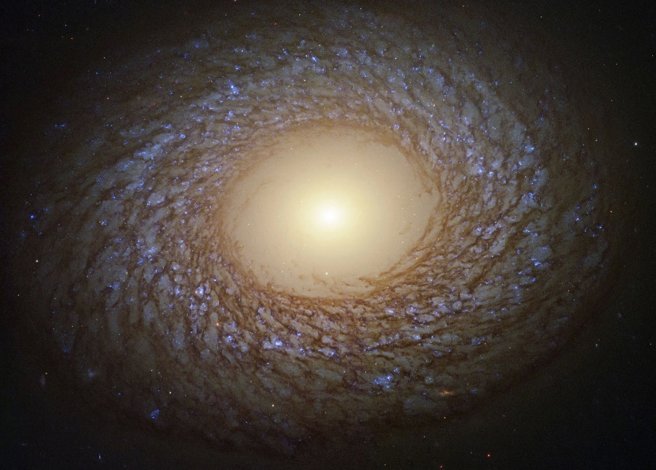 Галактика NGC 2775