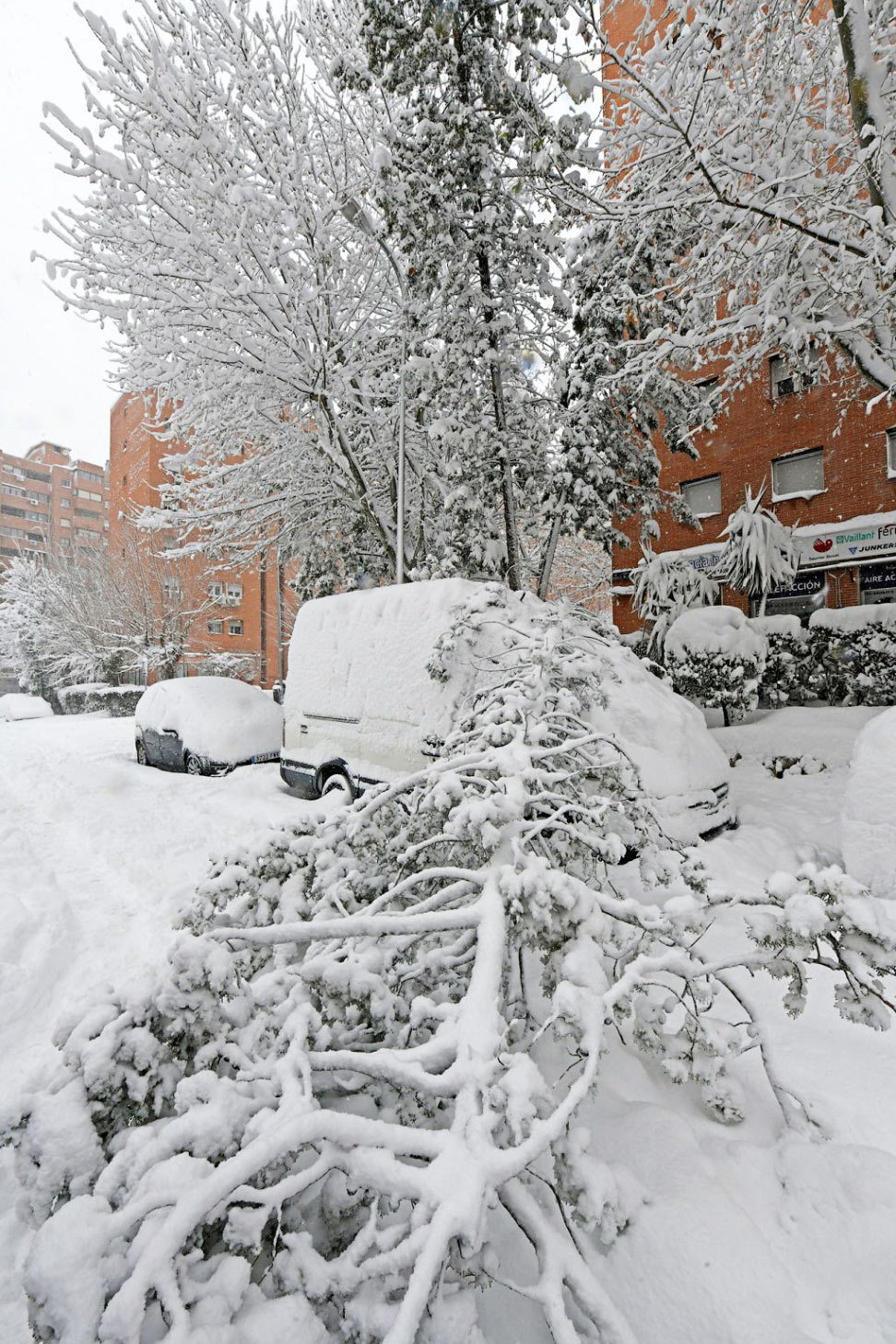 Снегопад в Мадриде